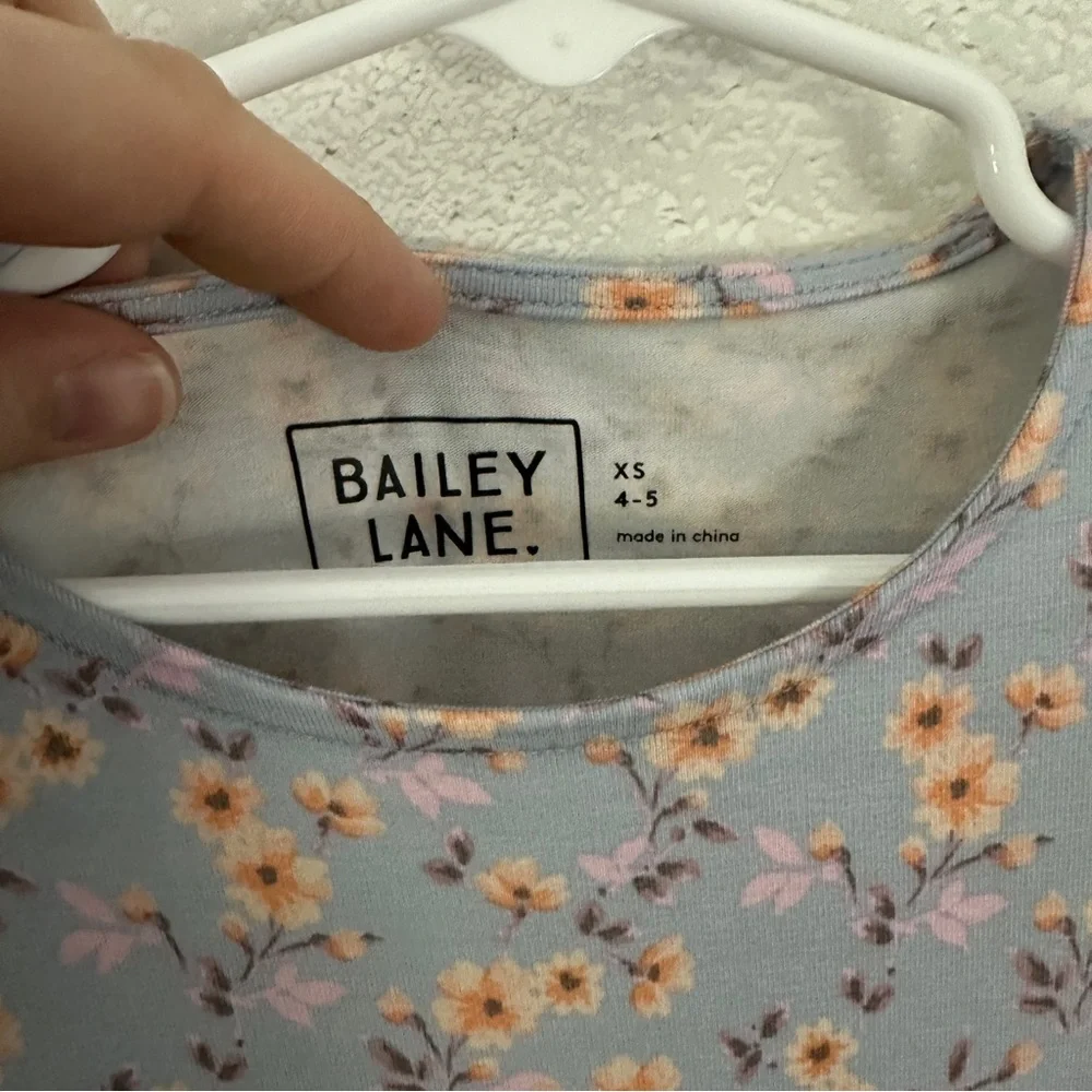 BAILEY LANE Stitch Fix Short Sleeve Flowered Ruffle Dress